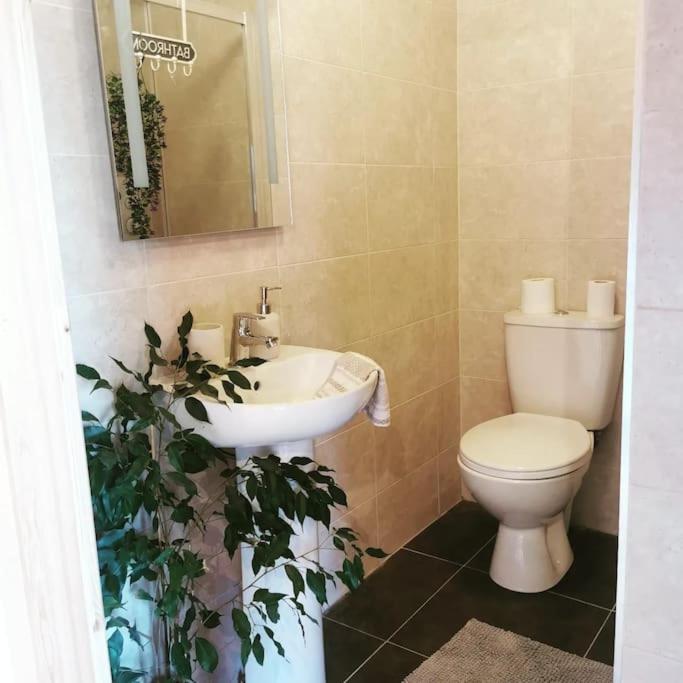 להינץ' Ceaser'S Cabin Is A Cosy 1 Bedroom Cabin מראה חיצוני תמונה